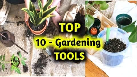 Top 10 gardening tools in hindi | गार्डन के टॉप 10 ओजार जो आपके पास जरुर होने चाहिये